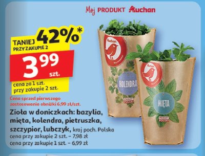 Pietruszka Auchan r贸偶norodne (logo czerwone) promocja