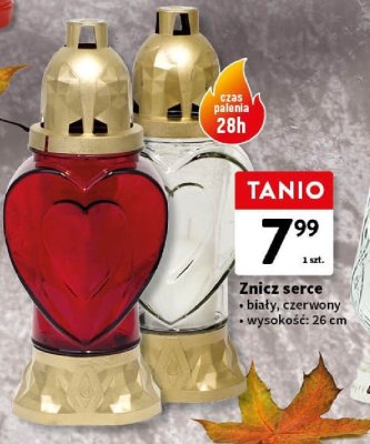 Znicz serce biały lub czerwony 26 cm promocja w Intermarche