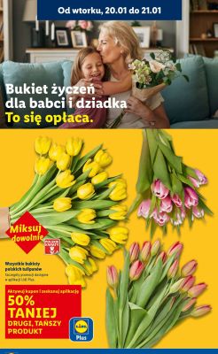 Wszystkie bukiety tulipanów DRUGI -50% promocja w Lidl