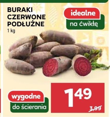 Buraki czerwone podłużne promocja w Stokrotka