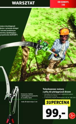 Nożyce teleskopowe do pielęgnacji drzew Parkside promocja