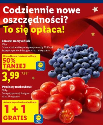 Borówki amerykańskie promocja w Lidl