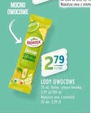 Lody cytrynka-limonka Hortex promocja