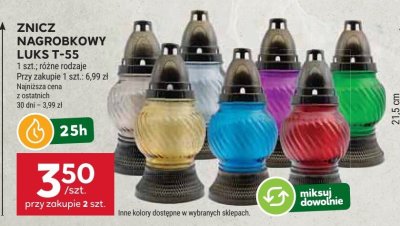 Znicz promocja w Stokrotka