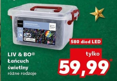 Łańcuch świetlny różne rodzaje LIV & BO 580 diod LED promocja w Kaufland