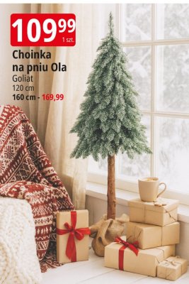 Choinka na pniu Goliat 120 cm promocja w Leclerc