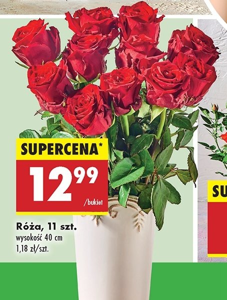 Róża 40 cm promocja