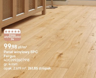 Panel winylowy SPC Fergus promocja w Castorama