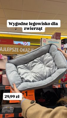 Legowisko dla zwierząt promocja w Biedronka