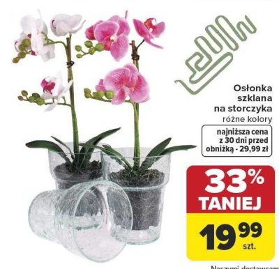 Osłonka szklana na storczyka różne kolory promocja w Carrefour