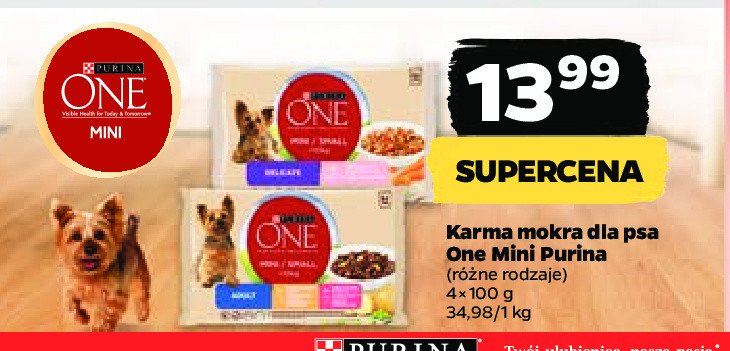 Karma dla psa delicate mini łosoś i ryż Purina one promocja