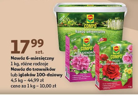 Nawóz do iglaków długodziałający Compo promocja