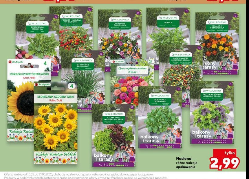 Rukola Legutko promocja w Kaufland