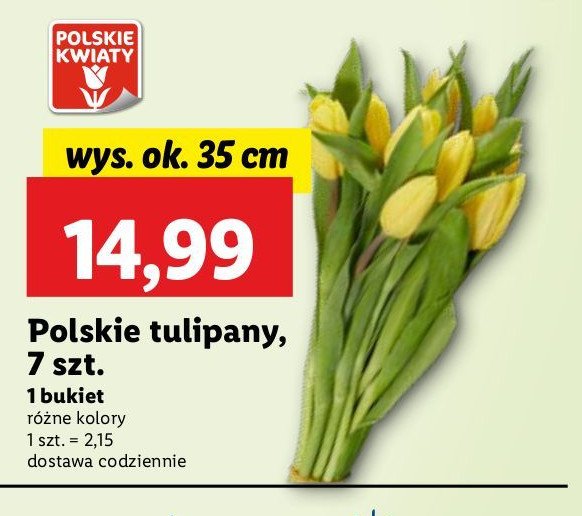Tulipany 35 cm promocja w Lidl