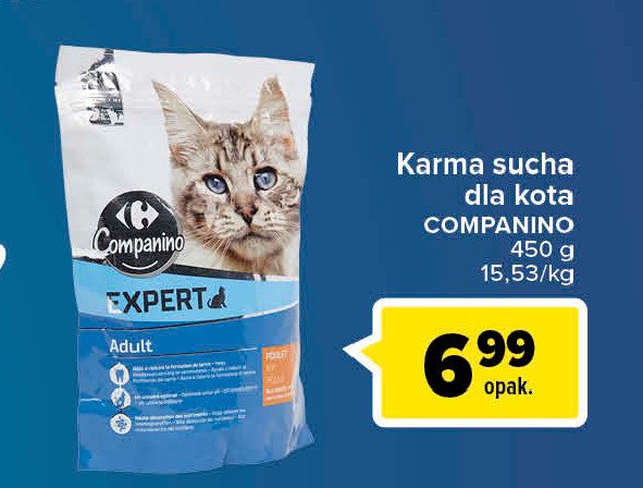 Karma dla kota expert CARREFOUR COMPANINO promocje