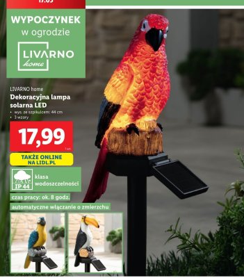 Lampa solarna led 44 cm LIVARNO HOME promocja