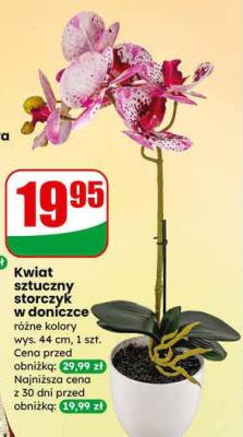 Kwiat sztuczny storczyk w doniczce promocja w Dino