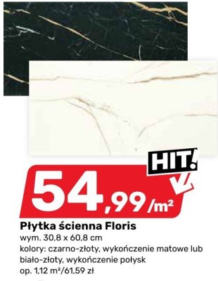 Płytka ścienna Floris promocja w Bricomarche