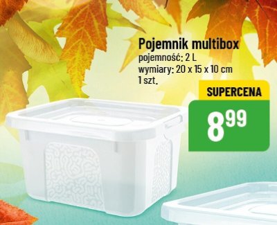 Pojemnik multibox 2L promocja w POLOmarket