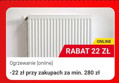 Ponad 20 kuponów na start, strona 3 promocja w Bricomarche