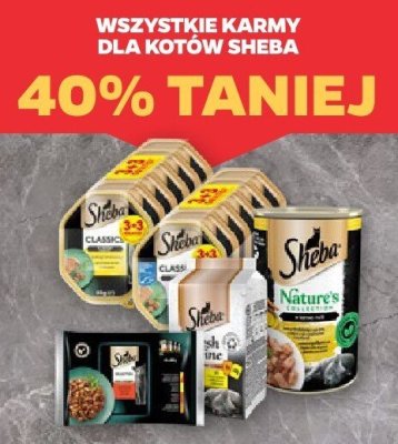 Karma dla kotów (wszystkie rodzaje) promocja w Netto