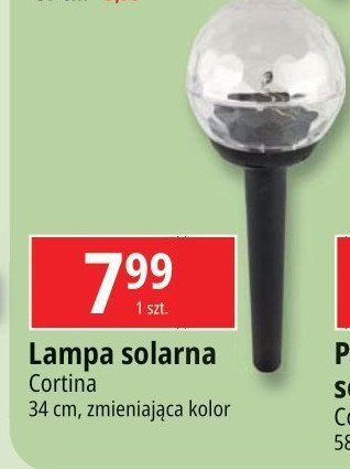 Lampa solarna 34 cm Cortina promocja