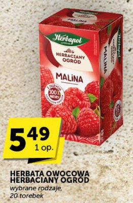 Herbata owocowa herbaciany ogród różne rodzaje malina promocja w Euro Sklep