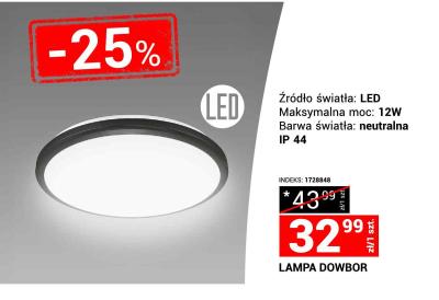 Lampa DOWBOR LED 12W neutralna IP 44 promocja w Merkury Market