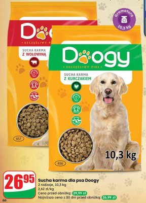 Sucha karma dla psa Doogy promocja w Dino