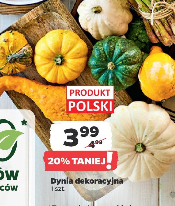 Dynia dekoracyjna promocja