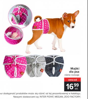 Majtki dla psa promocja