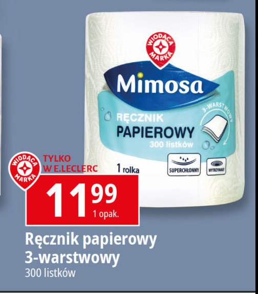 Ręcznik papierowy Wiodąca marka mimosa promocja