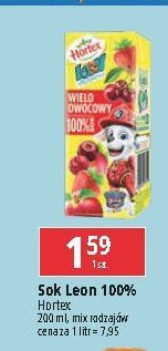 Sok 100 % wieloowocowy Hortex leon promocja