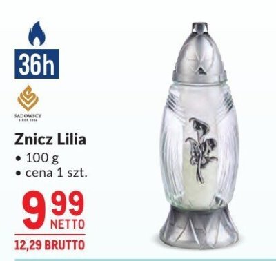 Znicz Lilia promocja w Makro