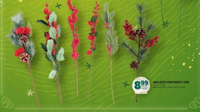 Gałązki dekoracyjne różne rodzaje promocja w Stokrotka