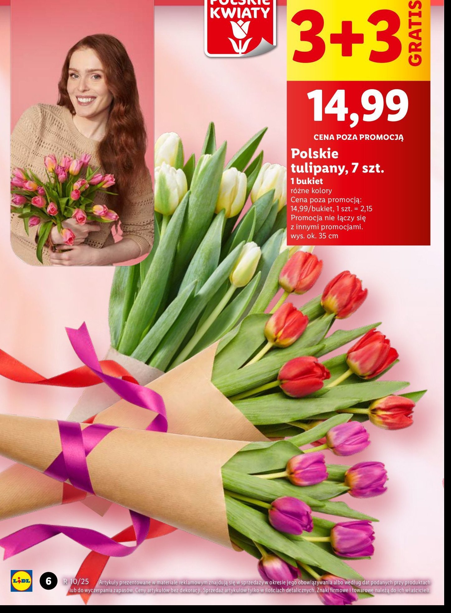 Tulipany polskie promocja w Lidl