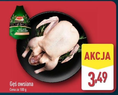 Gęś owsiana promocja w Aldi