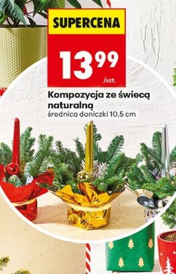 Kompozycja ze świecą naturalną średnica doniczki 10,5 cm promocja w Biedronka
