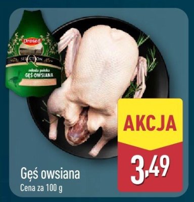 Gęś owsiana mrożona promocja w Aldi