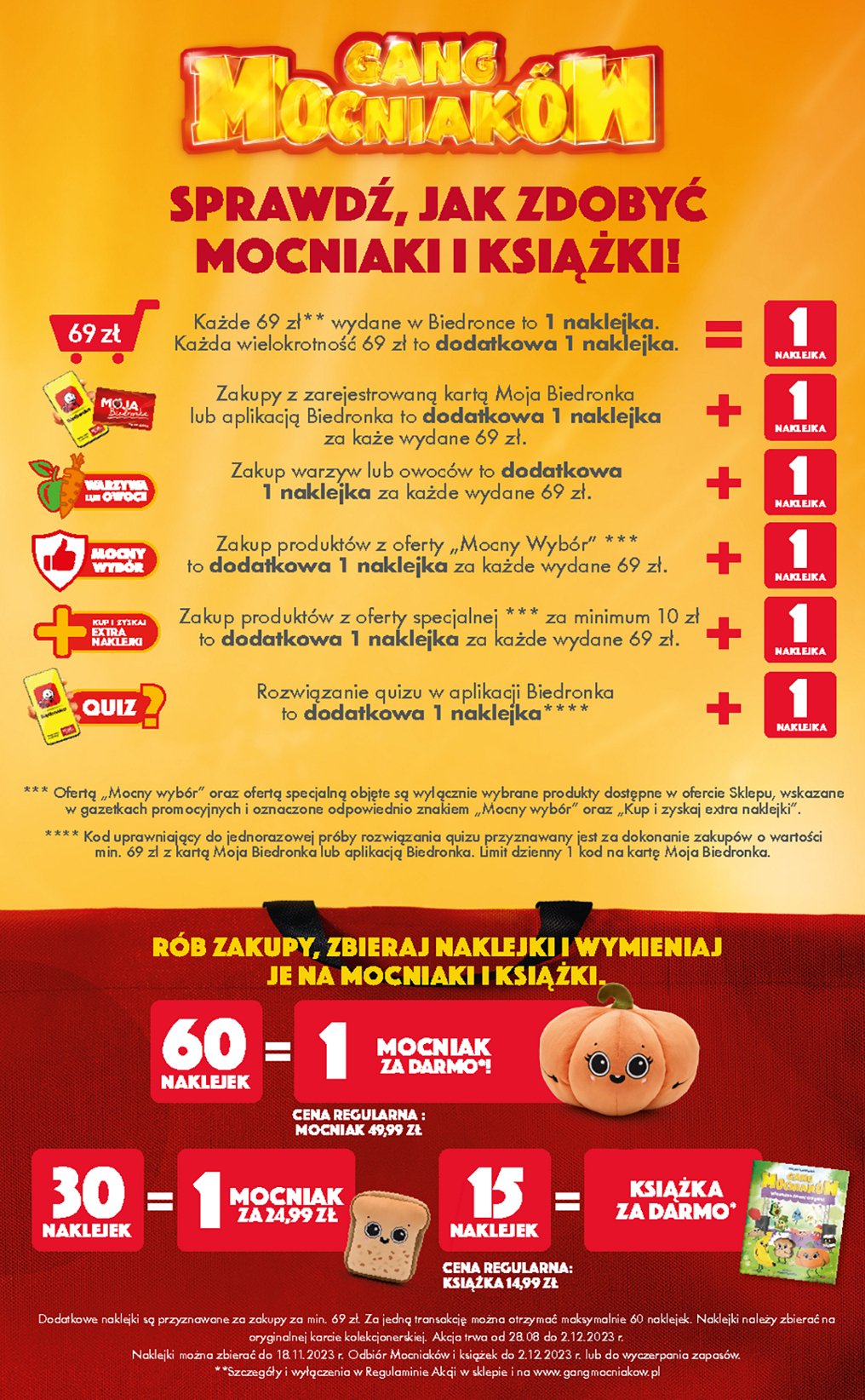 Dynia dorotka promocja