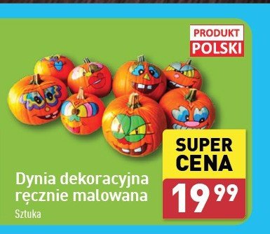 Dynia malowana promocja