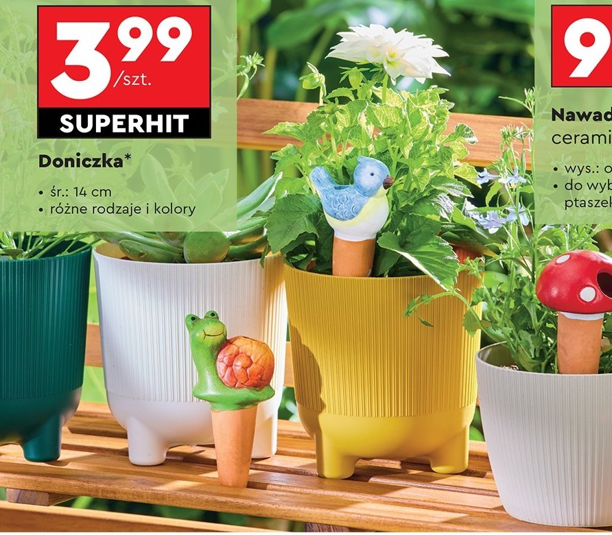 Doniczka 14 cm promocja w Biedronka