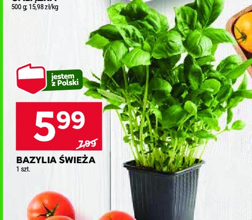 Bazylia promocja