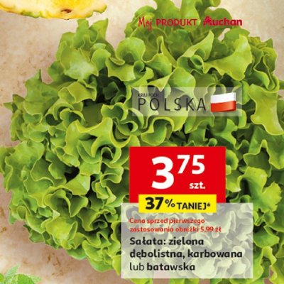 Sałata zielona dębolistna, karbowana lub batawska Auchan promocja
