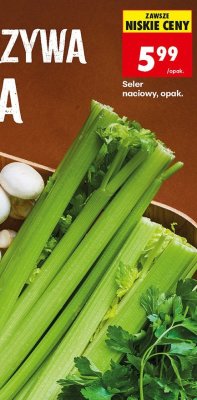Seler naciowy Biedronka promocja w Biedronka