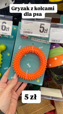 Gryzak z kolcami dla psa pomarańczowy promocja w Dealz