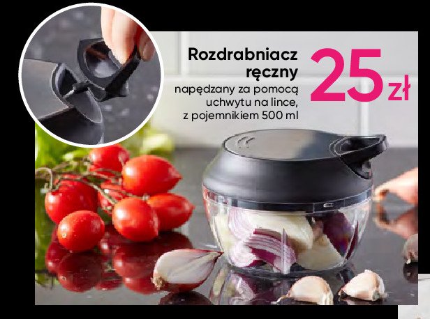 Rozdrabniacz r臋czny promocja