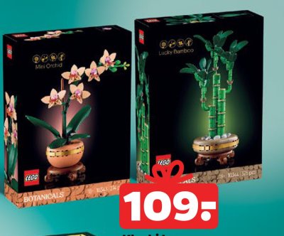 Klocki Lego Botanicals 10343 promocja w Netto