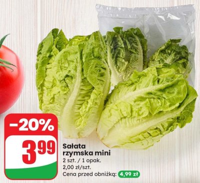Sałata rzymska mini 2 szt. promocja w Dino
