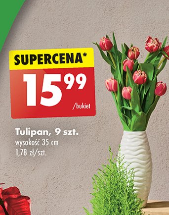 Tulipany 35 cm promocja